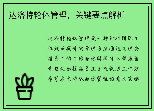 达洛特轮休管理，关键要点解析